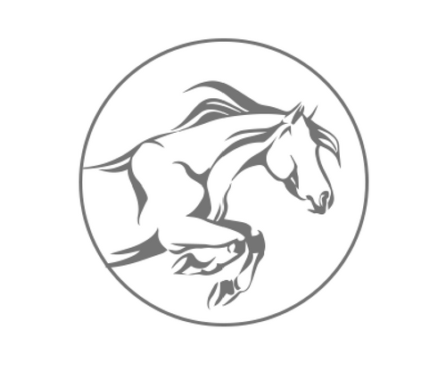 Adapt Performance Co